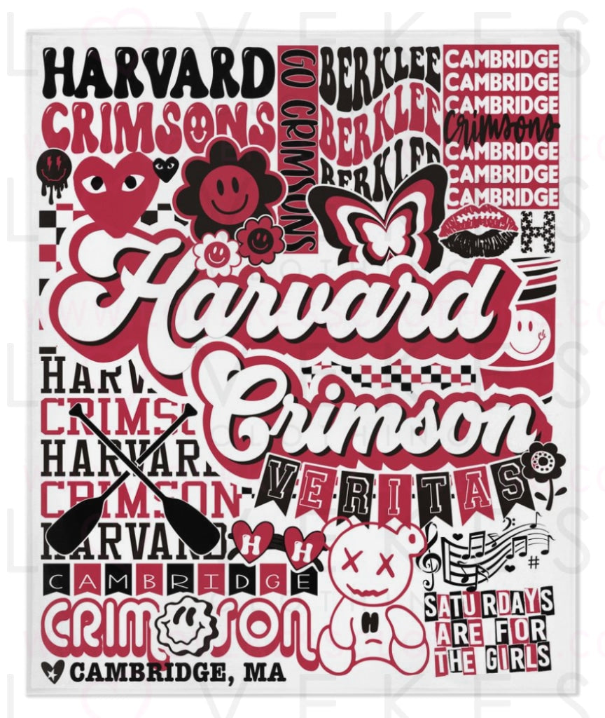Harvard University Y2K College Blanket